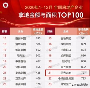 ​不凡之年，阳光地产南充区域交出了怎样的答卷？