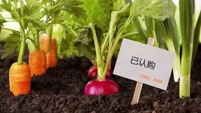 ​认养农业：风险与机遇并存的新兴农业增值模式