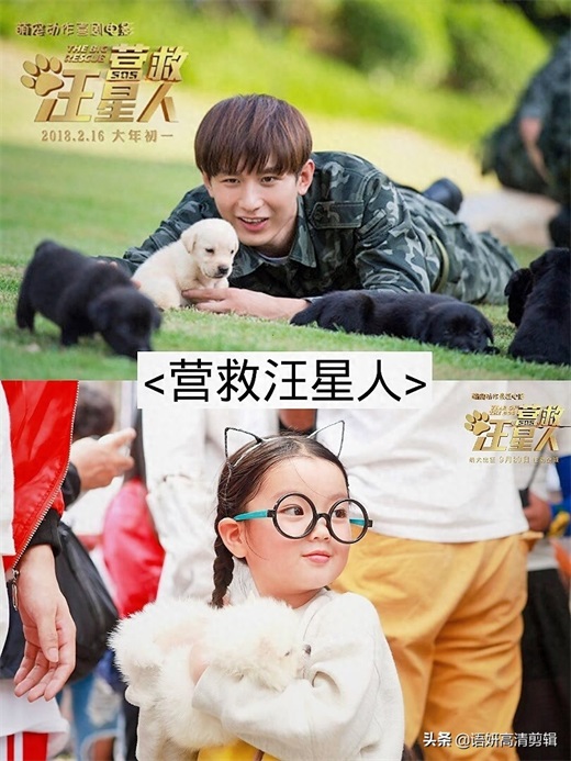 9部袁冰妍和成毅主演的电视剧,你看过哪几部?最爱哪一部?