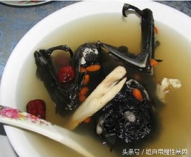 日本吃屎宴叫什么名字（全球最奇葩恶心食物）