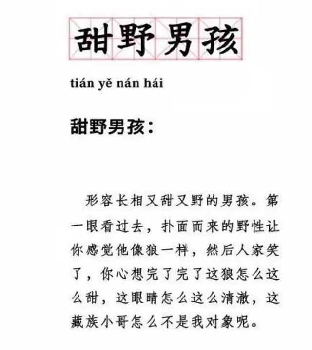 四川藏族网红小伙子丁真为什么火 藏族小伙丁真爆火(2)