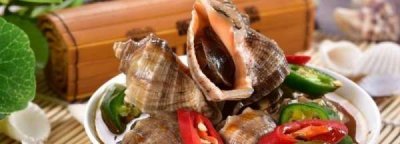 ​海螺煮多久杀死寄生虫,海螺煮多久最佳时间