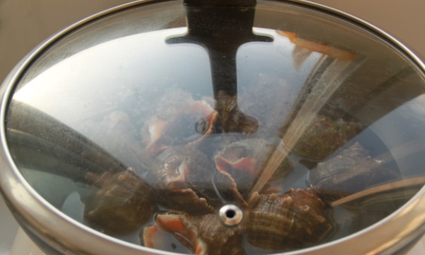 海螺煮多久杀死寄生虫,海螺煮多久最佳时间图4