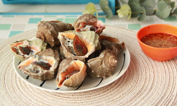 海螺煮多久杀死寄生虫,海螺煮多久最佳时间图7