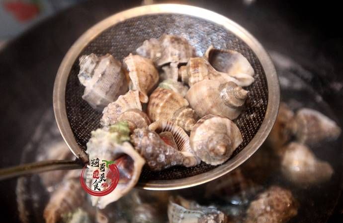 煮螺的时间要掌握好哪些知识