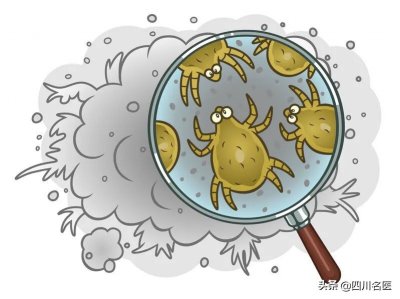 ​毛囊虫 小心这种虫子“咬人”！每个人家里都有