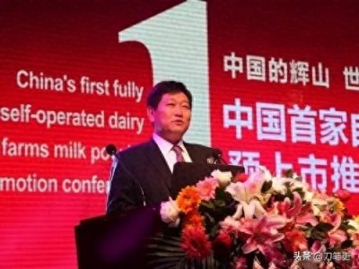 ​消失的辽宁首富