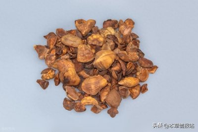 ​穿山甲市场：从天价到转型的十年博弈