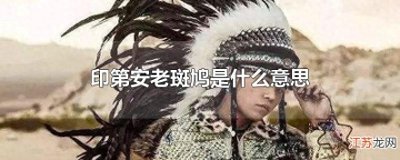​从停水停电拉闸到印第安老斑鸠：中年女性网络梗的演变反思