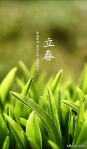 ​2025年躲春的正确方法和技巧