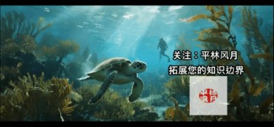 ​雨生红球藻（Haematococcus pluvialis）生命周期与产业开发