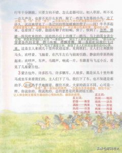 ​部编版五年级上册第一课《白鹭》知识点、课堂笔记、同步练习