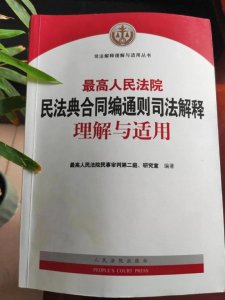 ​海燕说法：对民法典规定中“胁迫”的理解