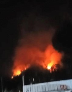 ​四川南充突发森林火灾，两小时扑灭，未造成伤亡