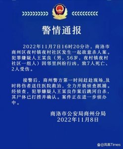 ​陕西商洛7死2伤凶杀案：邻里因“樱桃树”起纷争，凶手用斧子作案