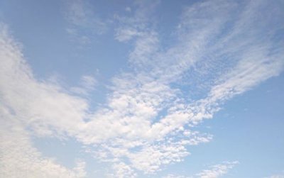 ​七夕单身狗发的搞笑朋友圈文案 单身的说说语录大全