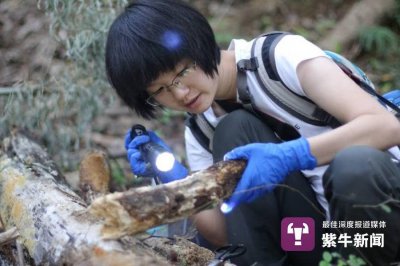 ​「紫牛头条」你从没见过的奇幻微观世界，被这个姑娘打开了