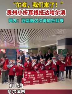 ​随着广西“砂糖橘”火出圈 贵州“小折耳根”也抵达哈尔滨