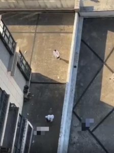 ​夫妻先后不幸坠亡，前后相隔仅5小时，公安机关介入