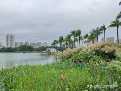 ​南宁南湖公园游玩攻略