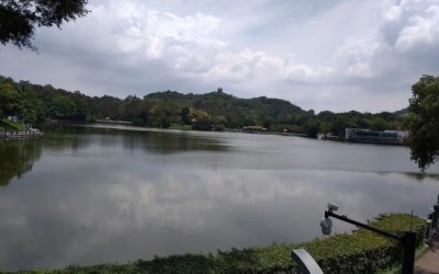​城市绿洲——麓湖公园