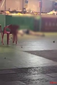 ​夜市天降砖头，28岁女子被砸中不幸离世！目击者发声