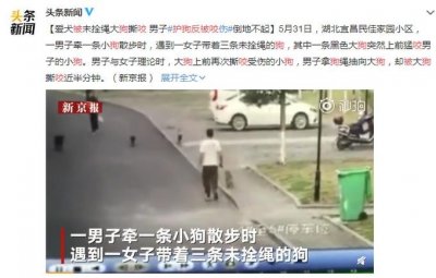 ​男子护狗反被咬，被大黑狗咬伤缝了30多针，狗主人却一直未露面