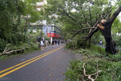 ​台风“天兔”：跨越时空的风暴力量