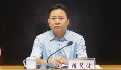 ​海南 ＂内鬼＂ 陈笑波落马记