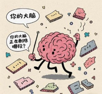 ​大脑每天自动删除80%记忆？科学家：忘得快才是生存智慧