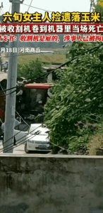 ​太惨了！60岁农妇被卷收割机搅成肉沫，当场死亡，涉事司机被拘留