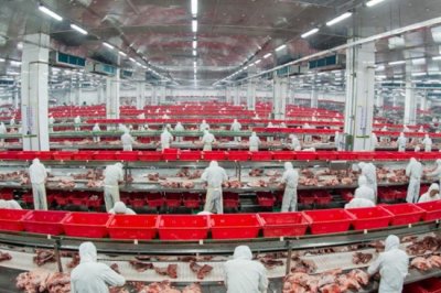 ​一文读懂吃肉为何就吃金锣冷鲜肉？